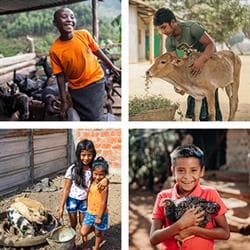 Ark Bundle-Livestock 2 x 2